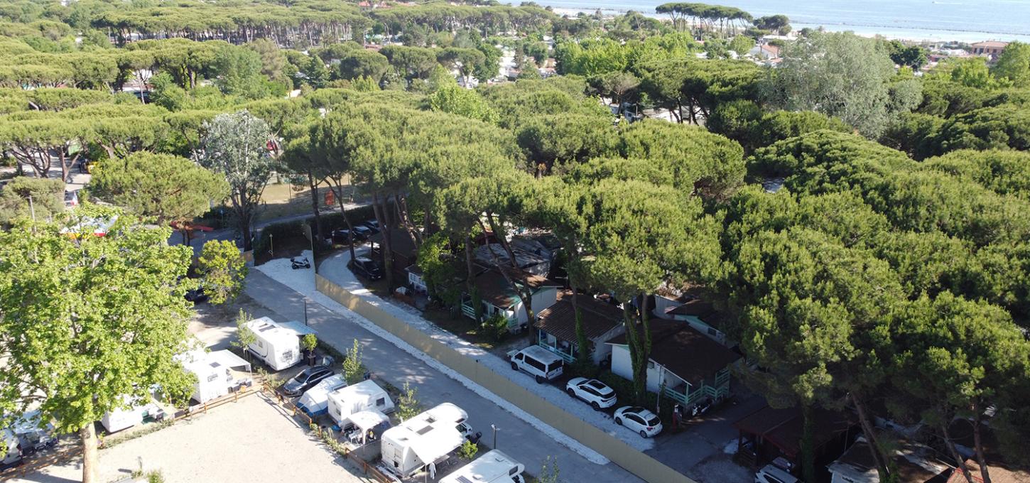 Campeggio tra gli alberi con camper parcheggiati e persone rilassate all'ombra.