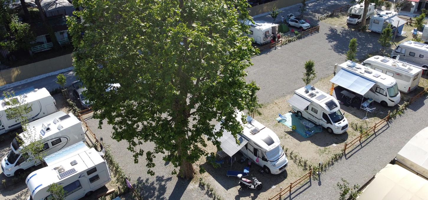 Camper parcheggiati in un'area verde con alberi, biciclette e sedie pieghevoli.