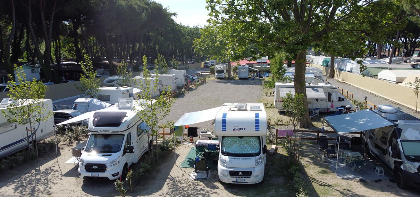 Camper parcheggiati all'ombra degli alberi in un'area verde e tranquilla.