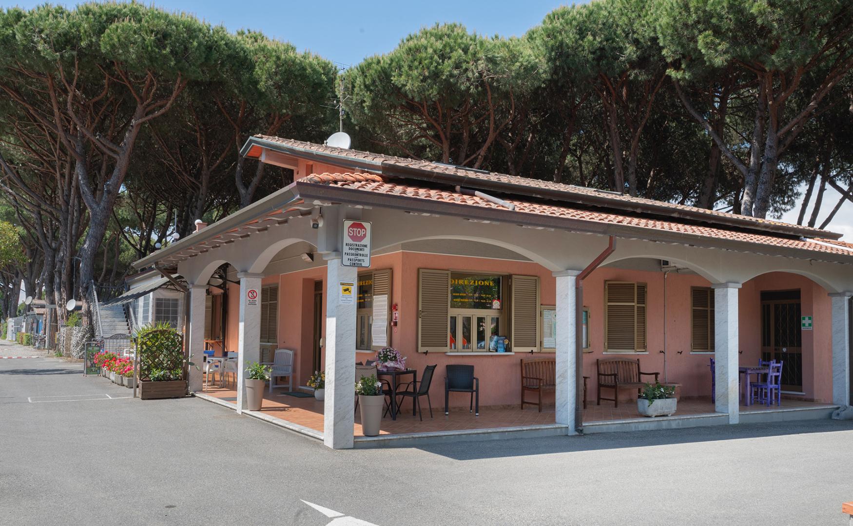 Terrazza con tavolo e sedie in legno, pianta e lanterna decorativa.