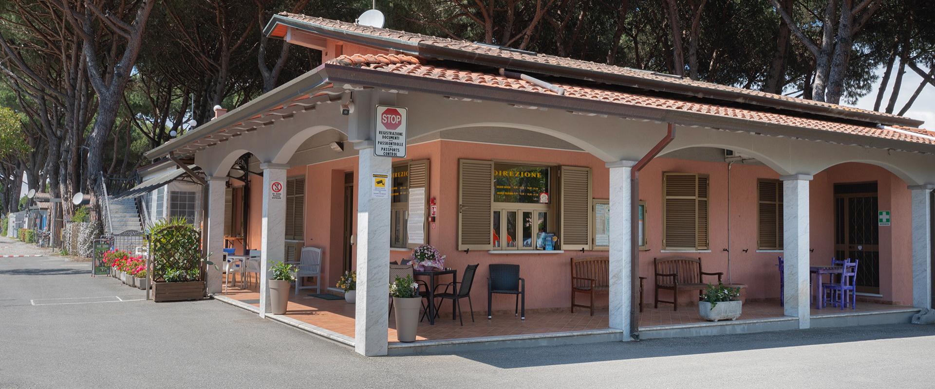 Terrazza con tavolo e sedie in legno, pianta e lanterna decorativa.